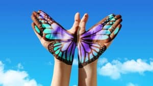 About Us 31 ROUNDMAP-Cover-Transformation-Butterfly