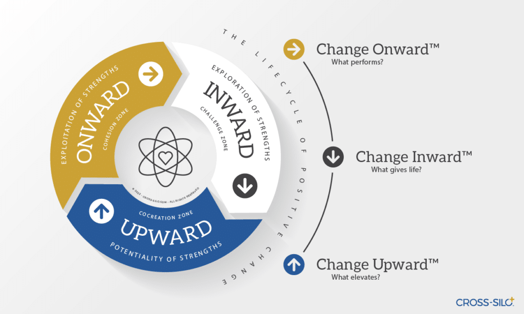 The Wheel Of Fortitude - The Comfort Zone Revisited - CROSS-SILO -  Connecting Human Systems™